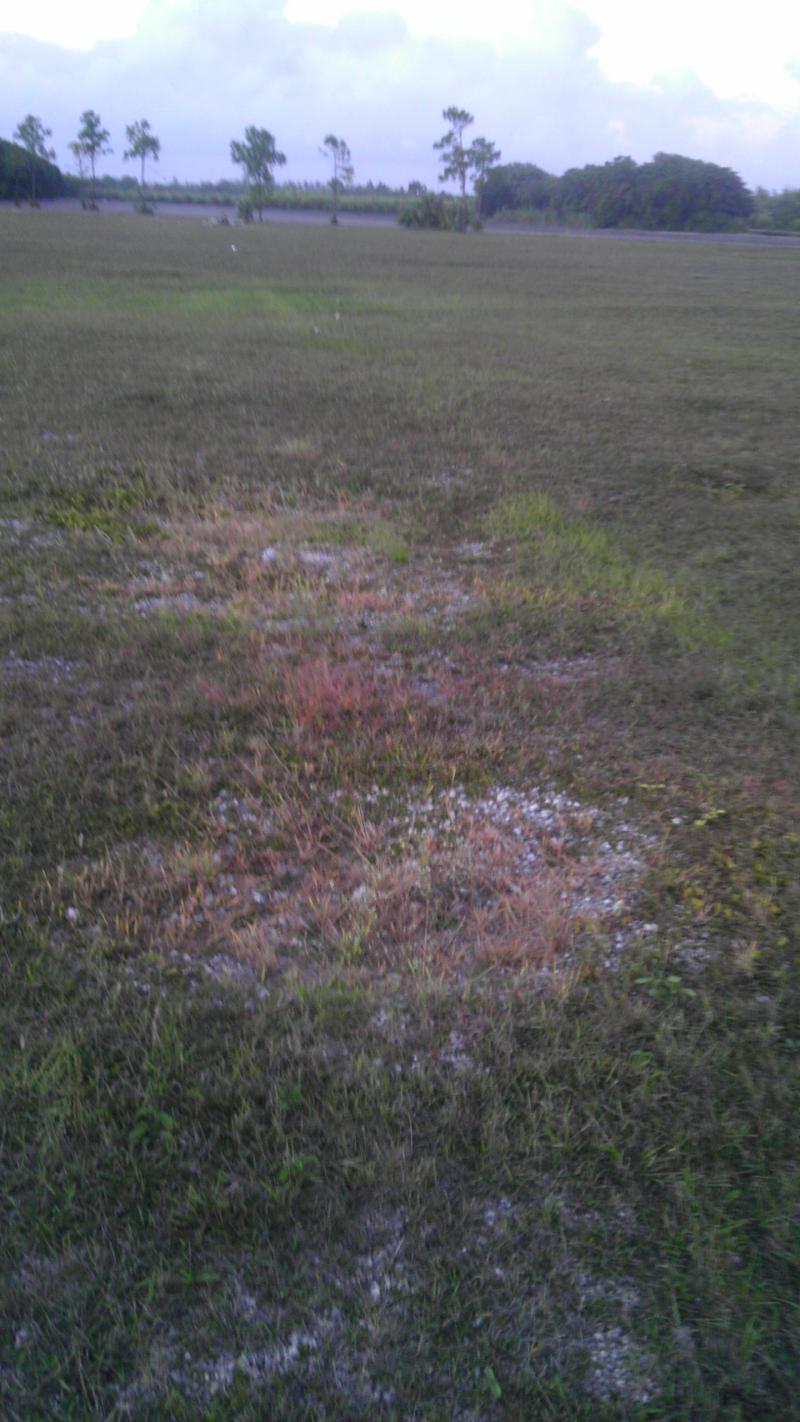Interesting how the grass will not grow over the graves, even after 50+ years.